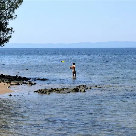 Tasos-roula