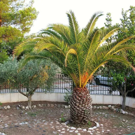Tasos-roula Holiday home Metamorfosi (Sithonia)