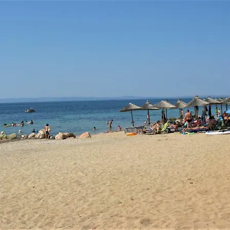 Tasos-roula *