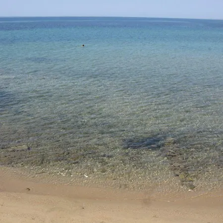 Tasos-roula