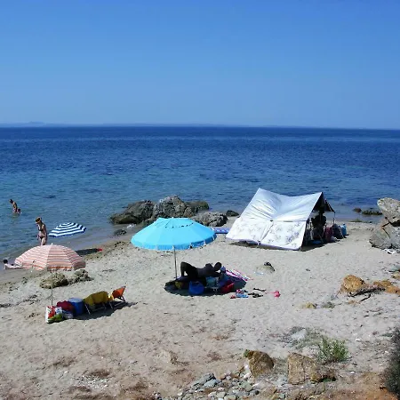 Tasos-roula *